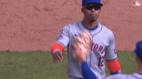 Sport Win GIF by New York Mets