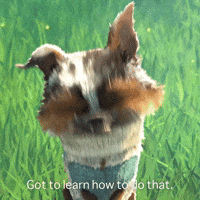 Got to Learn How To Do That