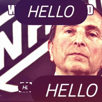 Gary Bettman Hello GIF