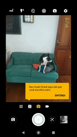 Matildamy giphyupload GIF