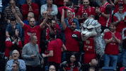 GIF by Basketball Champions League