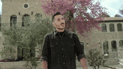 eurovision eurovision esc daretodream eurovision2019 GIF