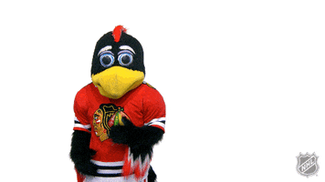 Chicago Blackhawks Love GIF by NHL