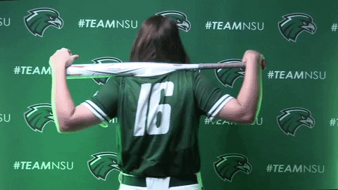 Softball GIF by RiverHawk Sports