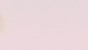 Football Sport GIF by FC Red Bull Salzburg