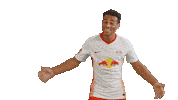 Tyler Adams Hug Sticker by RB Leipzig