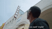 Venice2Venice meme crypto nft bitcoin GIF