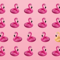 chambord cocktails GIF