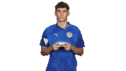 Eintracht Braunschweig Vbl Sticker by Bundesliga