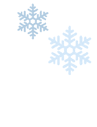 Celebrate New Years Sticker by Cole Haan