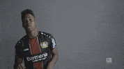 german football GIF by Bundesliga