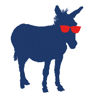 Donkey Eventfest Sticker by Event Concept