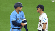 Blue Jays Baseball GIF by Toronto Blue Jays