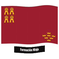 Region De Murcia Flag Sticker by Formación Ninja