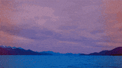 time-lapse water GIF by Chelsea Quinlan