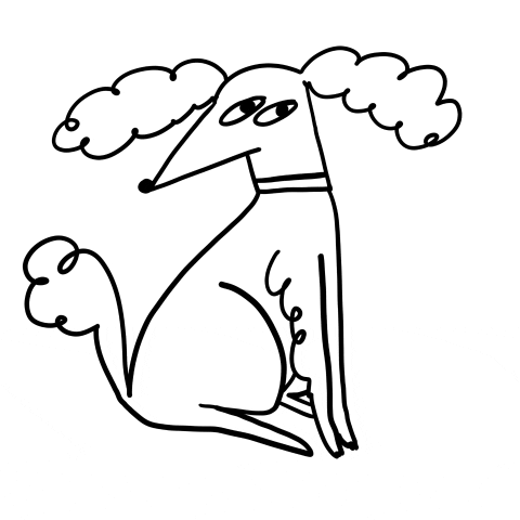 hannahroedel giphyupload what well poodle GIF