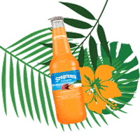 Shaved Ice Drinks Sticker by Seagram's Escapes