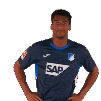 Sport Bundesliga Sticker by TSG Hoffenheim