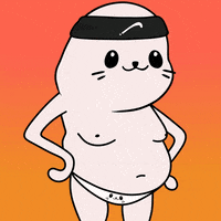 Happy Fun GIF by Sappy Seals Community