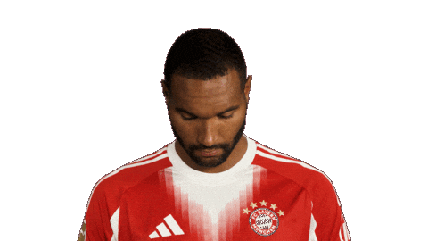 Look Up Fc Bayern Sticker by Bundesliga