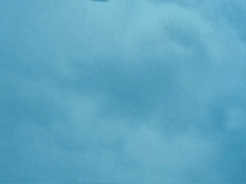 QuicklyThisWay giphygifmaker flowers oh no falling GIF