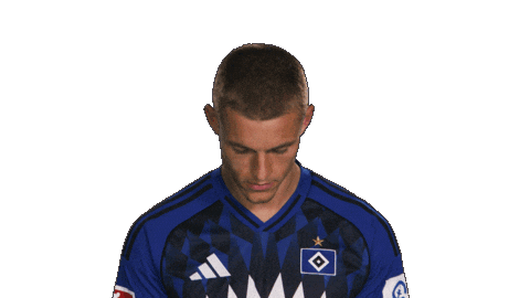 Look Up Hamburger Sv Sticker by Bundesliga