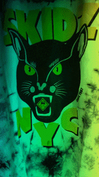 SKIDZ cat trippy psychedelic 90s GIF