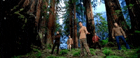 Justin Timberlake Jt GIF by *NSYNC