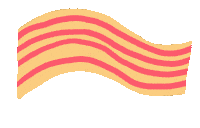 Bandera Catalunya Sticker