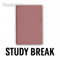 Study Break GIF by Starbucks