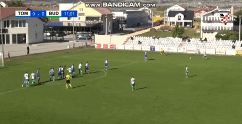 akopolumenta giphyupload GIF