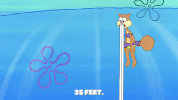 episode 1 GIF by SpongeBob SquarePants