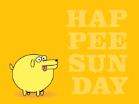 Happy Sunday