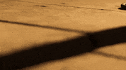 Scared Horror GIF by OUTRAGE AGENCY