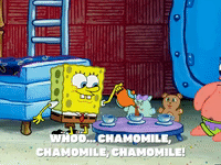 season 5 episode 10 GIF by SpongeBob SquarePants