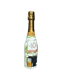 AmyableDesigns champagne champagne bottle amyable amyable designs Sticker