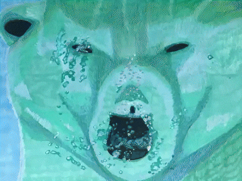Breathe Out Polar Bear GIF by The LSD Hotel