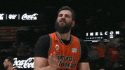 liga endesa basketball GIF by ACB