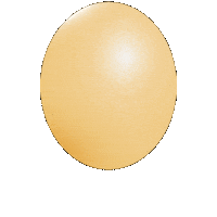 ABCCookingStudio ball yellow ball abc cooking studio Sticker