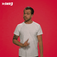 Stop No GIF by SWR3