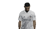 Los Angeles Football Sticker by LA Galaxy