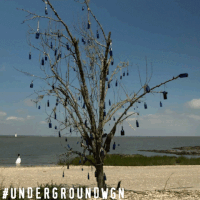 wind bottle tree GIF by Underground