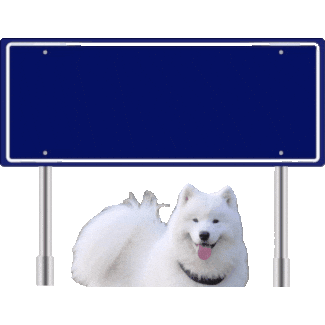 Benji Sticker