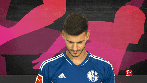 Schalke S04 GIF by Bundesliga