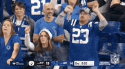 National Football League GIF by NFL