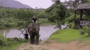 cbs travel GIF by tyler oakley