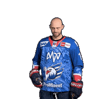 Esposito Espo Sticker by Adler Mannheim