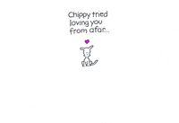 chippythedog chippythedog GIF