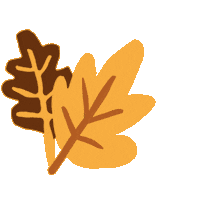 Fall Autumn Sticker by Camif