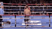 top rank trboxing GIF by Top Rank Boxing